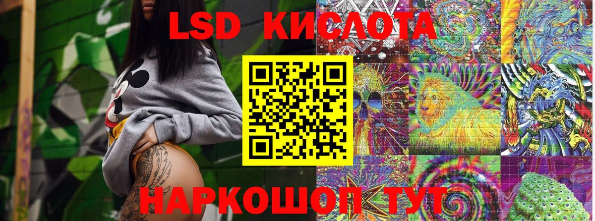 Свободный  купить  сайты  Вход с VPN  Марки NBOMe 1500мкг 