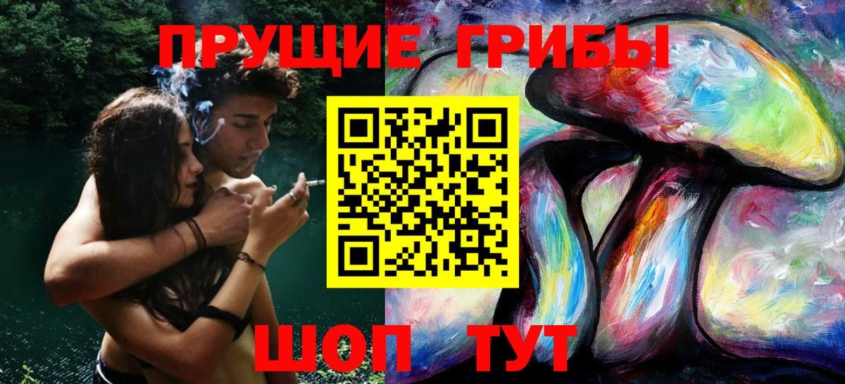 Свободный  Псилоцибиновые грибы мухоморы  Вход с VPN 